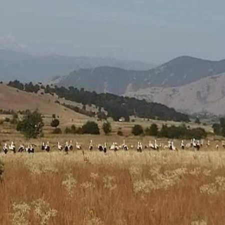 Airport Shtrkovi - Storks Διαμέρισμα Petrovec Εξωτερικό φωτογραφία